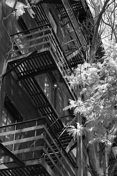 Black and white_0010